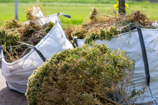 Best Estate Cleanout  in Berryville, AR